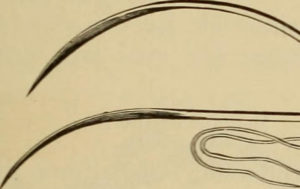 stitching needles